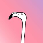 flamingo-7177496_1280